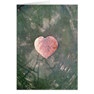 Natürliche Liebe, IIII