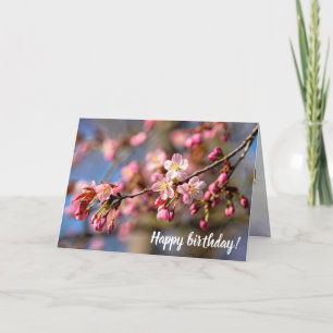 Natürliche Malerei von Sakura-Blume an einem windi Karte