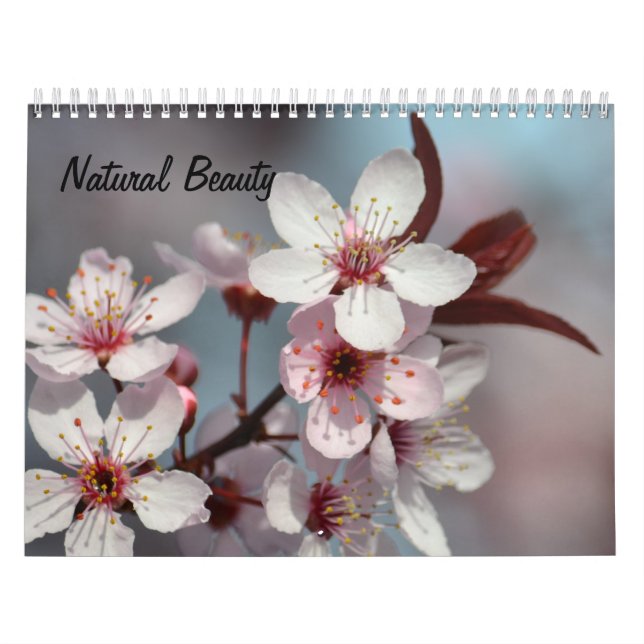 Natürliche Schönheit Kalender (Titelbild)