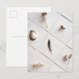 Natürliche Spezimensammlung Minimalist Postkarte