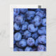 Natürliche Texturen - Blaubeeren Postkarte (Vorne/Hinten)