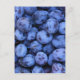Natürliche Texturen - Blaubeeren Postkarte (Vorderseite)