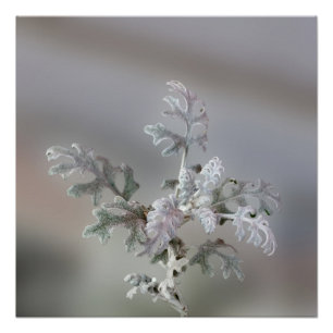 Natürliche Weihnachtsdekorationen Poster