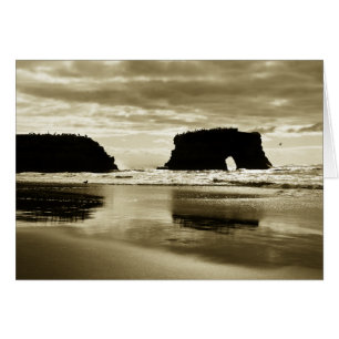 Natürlicher Brücken-Staats-Strand