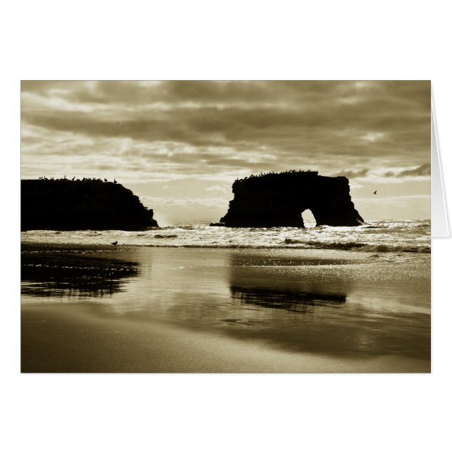 Natürlicher Brücken-Staats-Strand (Vorderseite (Horizontal))