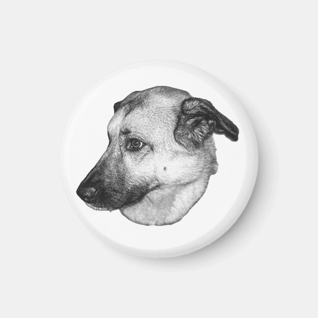 Natürlicher Fokus, Hundemagnet Magnet (Vorne)