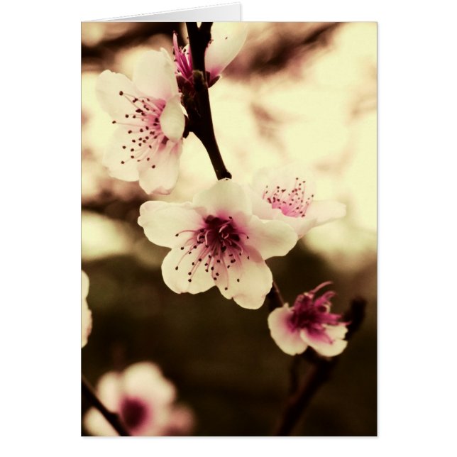 Natürlicher Frühlings-Schönheits-Karte (Vorne)