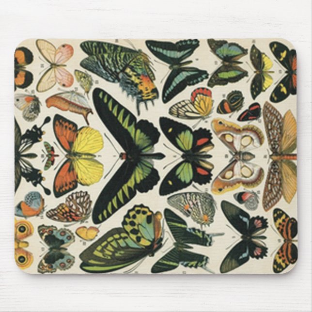 Natürlicher History Butterfly Mousepad (Vorne)