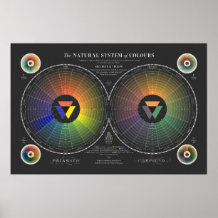 Natürliches System der Farben - Dunkel Poster