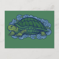 Naturliebhaber Schildkröten