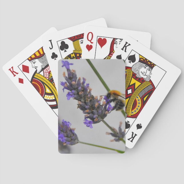 Naturliebhaber Spielkarten (Rückseite)