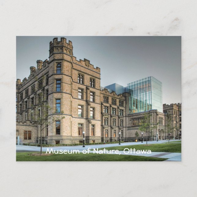Naturmuseum, Ottawa. Postkarte (Vorderseite)