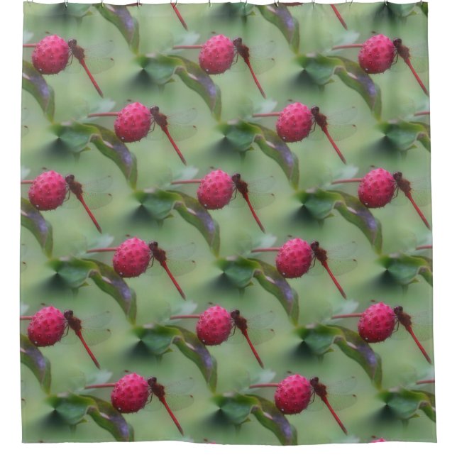 Naturmuster der Roten Dragonfly Duschvorhang (Vorderseite)