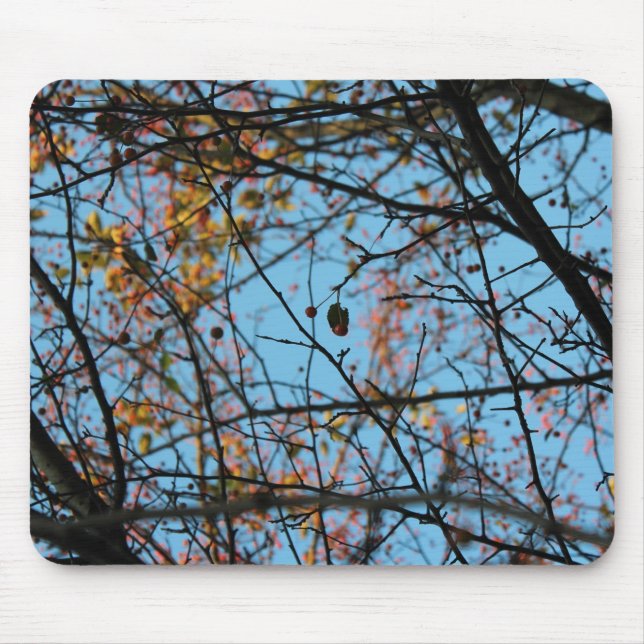 Naturmuster Mousepad (Vorne)