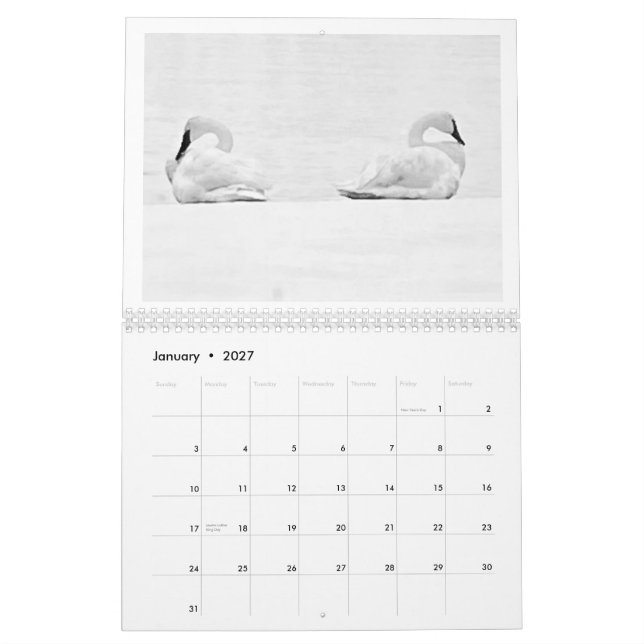Naturperspektiven - 2026 Wandkalender (Jan 2027)