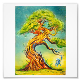 Naturplakat Fotodruck