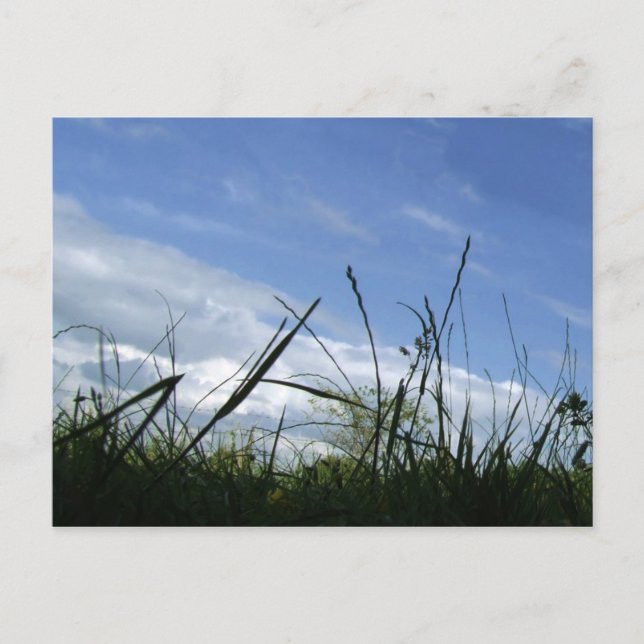 Naturpostkarte Postkarte (Vorderseite)