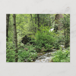 Naturpostkarte Postkarte