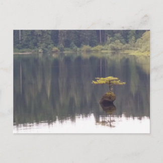 Naturpostkarte Postkarte