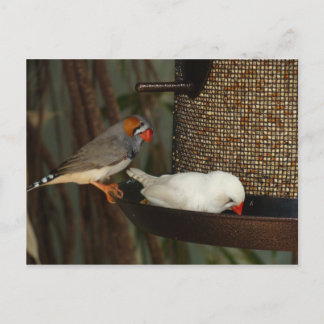 NATURPOSTKARTE POSTKARTE