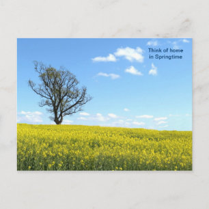 Naturpostkarte Postkarte