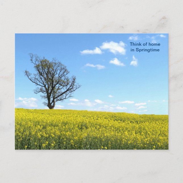 Naturpostkarte Postkarte (Vorderseite)