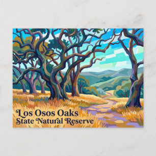 Naturreservat Los Osos Oaks, Kalifornien Postkarte