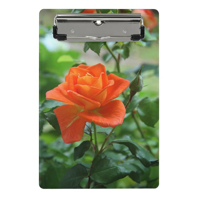 Naturrosa-Rose-Blume Mini Klemmbrett (Vorderseite)