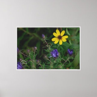 Naturs lebendige Farbpalette Stretch Canvas Print Leinwanddruck