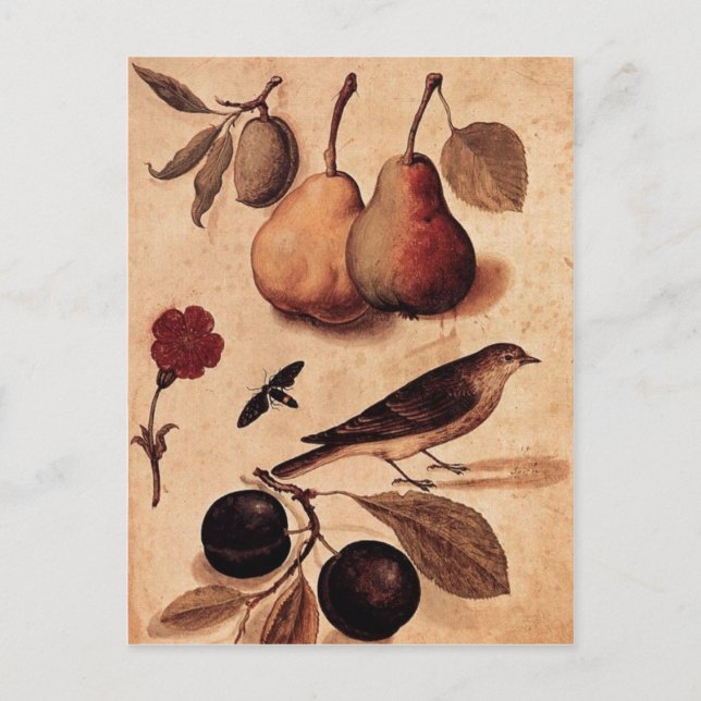 Naturschauspiele Postkarte (Vorderseite)