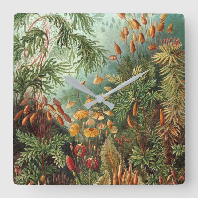 NATURSCHUTZ DURCH ERNST HAECKEL QUADRATISCHE WANDUHR (Vorderseite)