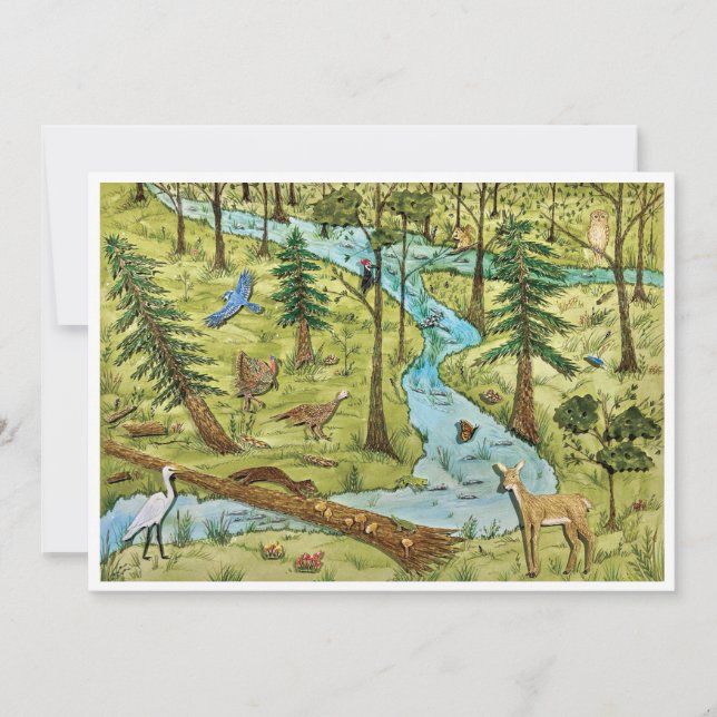 Naturschutz Postkarte (Vorderseite)