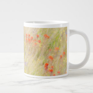 Naturschutzgebiet   San Juan Islands, WA Jumbo-Tasse
