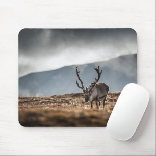 Naturschutzgebiet Svalbard Rentier Foto Mousepad