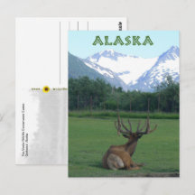 Naturschutzzentrum Alaska