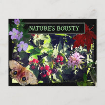 Naturwald Bounty Wild Berries Postkarte