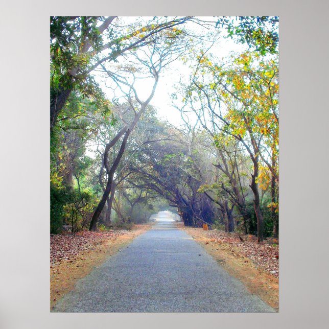 Naturwegplakat Poster (Vorne)