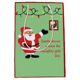 Naughty Girl Bad Santa Funny Joke Spaß Spaß Mittlere Geschenktüte
