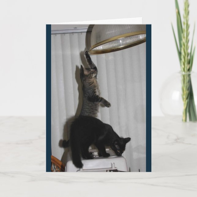 Naughty Kitty Birthday Card Karte (Vorderseite)
