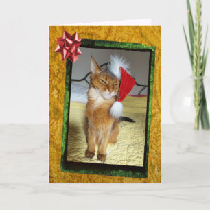 Naughty Kitty Christmas Card Feiertagskarte