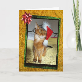 Naughty Kitty Weihnachtskarte Feiertagskarte
