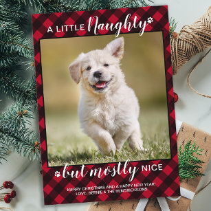 Naughty Nice Personalisiert Red Kariert Dog Pet Fo Feiertagskarte