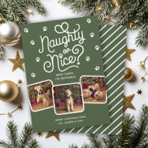 Naughty oder Nice Funny Niedlich Pet Hund Katze 3 