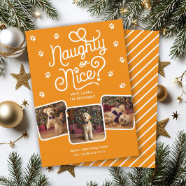 Naughty oder Nice Funny Niedlich Pet Hund Katze 3  Feiertagskarte