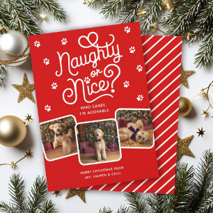Naughty oder Nice Funny Niedlich Pet Hund Katze 3 Feiertagskarte