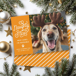 Naughty oder Nice Funny Niedlich Pet Hund Katze Fo Feiertagskarte