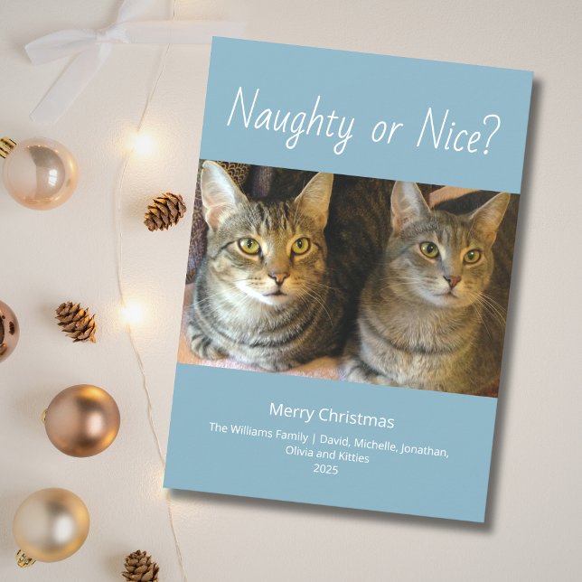 Naughty oder Nice Niedlich Cats Foto Weihnachten (Von Creator hochgeladen)