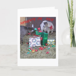 "Naughty or Nice" Feiertagskarte