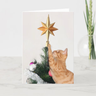 Naughty Orange Tabby Christmas Karte