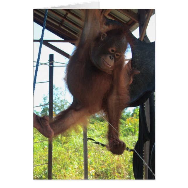 Naughty Primat Potty Break (Vorne)